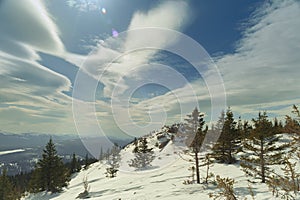 Coniferous trees on the snowy slope of Zyuratkul mountain