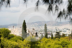 coniferous trees and urban landscape of Athens