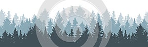 Coniferous winter forest background. Nature, landscape. Pine, spruce, christmas tree. Fog evergreen coniferous trees. Silhouette photo