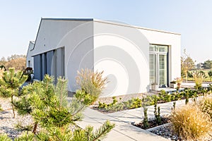 Conifers and shrubs in the yard of a house in the suburbs