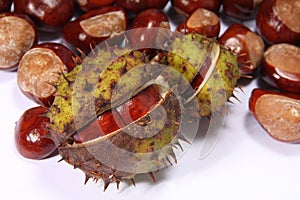 Conker