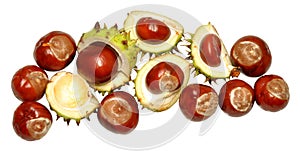 Conkers