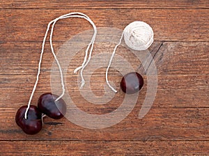 Conkers. Fruit of the Horse chestnut tree, Aesculus hippocastanum. With string for traditional game.