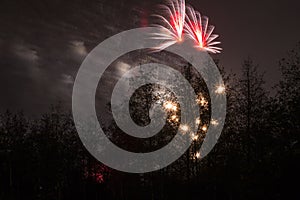 Conkers in The National Forest Fireworks