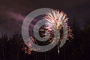 Conkers in The National Forest Fireworks