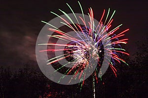 Conkers in The National Forest Fireworks