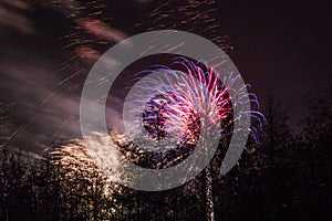 Conkers in The National Forest Fireworks