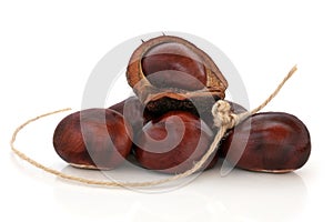 Conkers and String