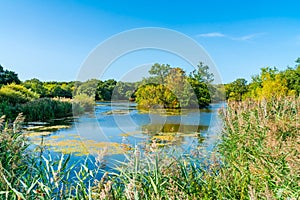 Connaught Water lake