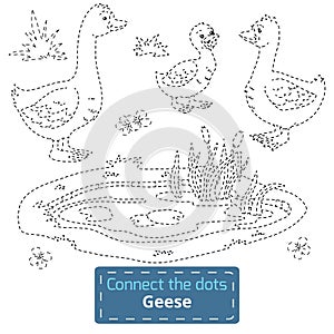 Connect the dots (farm animals set, goose family)