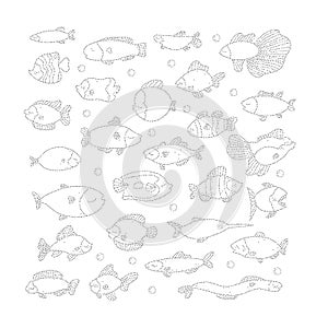 Connect dots game swimming marine fish in set