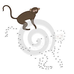 Connect the dots game vervet ape vector