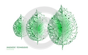 Connected dots point line triangle leaf. Eco nature concept on green background lights geometric poligonal low poly icon