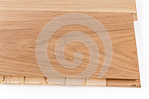 Connected oak engineered wood flooring boards, fragment close-up