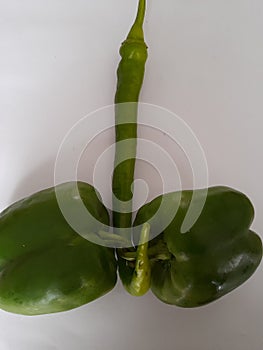 connectedness and love, green peppers isolated on white background