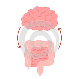 Connection of cute healthy happy brain and intestine gut. Relation health of human brain and gut, second brain. Unity of