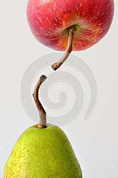 Connection between fruits on white background