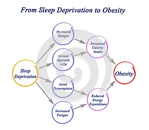 From Sleep Deprivation to Obesity photo