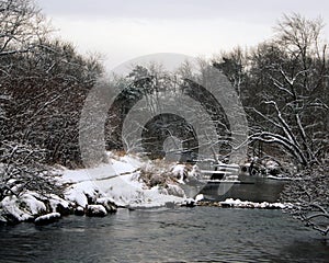 Connetquot River - Winter