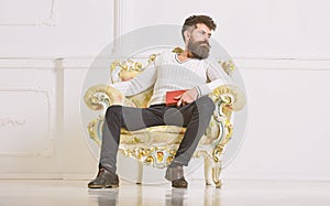 Connoisseur of literature concept. Macho spends leisure with book. Man with beard and mustache sits on armchair and