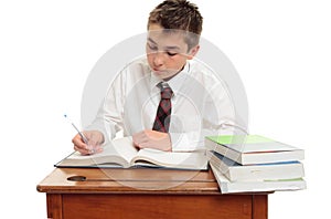 Conscientious school boy student