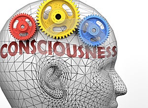 Consciousness and human mind - pictured as word Consciousness inside a head to symbolize relation between Consciousness and the