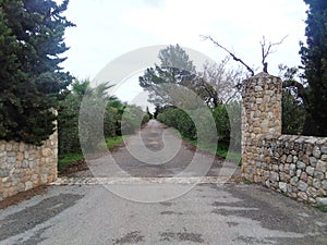 Consell, Illa de Mallorca