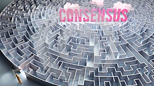 Consensus and a difficult path to it