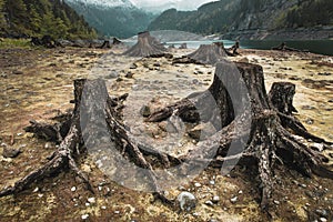 Consequences of deforestation around lake