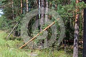 Consequences of hurricane Asta, Russia.