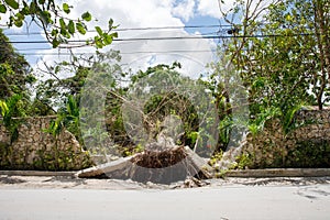 Consequences of Hurricane Fiona. Dominican Republic. Punta Cana.