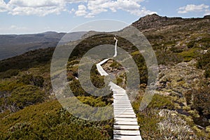 Conservation Board Walk