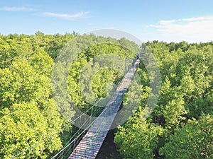 Conservation bridge