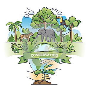 Conservation efforts to save forests or wildlife biodiversity outline concept photo