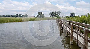 Conservation and preservation area in Texas