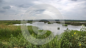 Conservation and preservation area in Texas photo