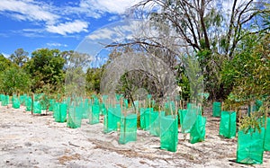 Conservation in Western Australia Bushland