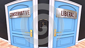 Conservative or Liberal - two options and a choice