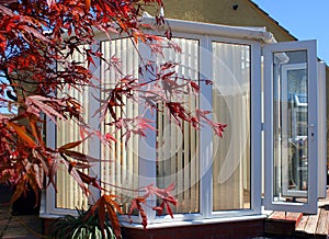 Conservatory with Acer
