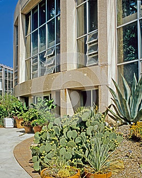 Conservatory at the Atlanta Botanical Garden