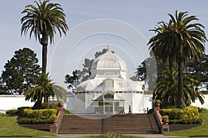 Conservatory Flowers and stair