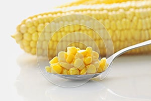 Conserved Corn macro photo