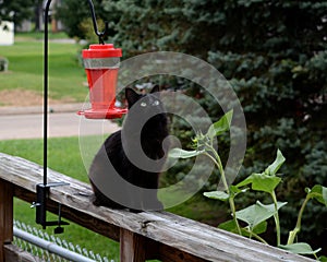 Conserving birdfeed