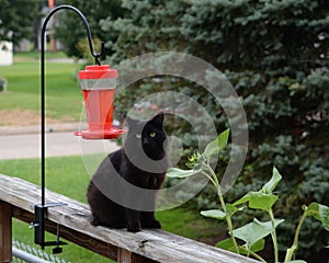 Conserving birdfeed