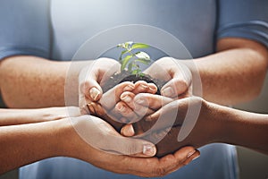 Conserving the environment. a person holding a plant growing in soil.