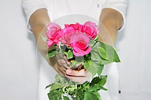 Consign the roses to you.