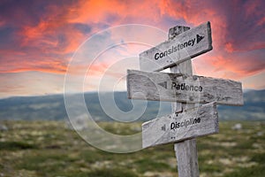 Consistency patience discipline text engraved in wooden signpost outdoors in nature