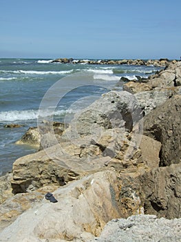 Constanta seashore