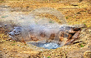 Constantly boiling Litli Geysir in Iceland