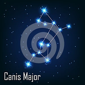 The constellation Canis Major star in the night